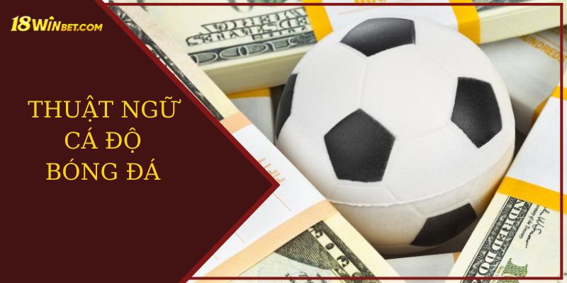 Thuật ngữ cá độ bóng đá tại 18win